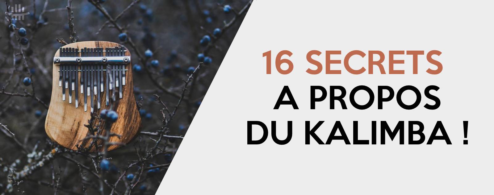 16 secrets a propos du kalimba Image