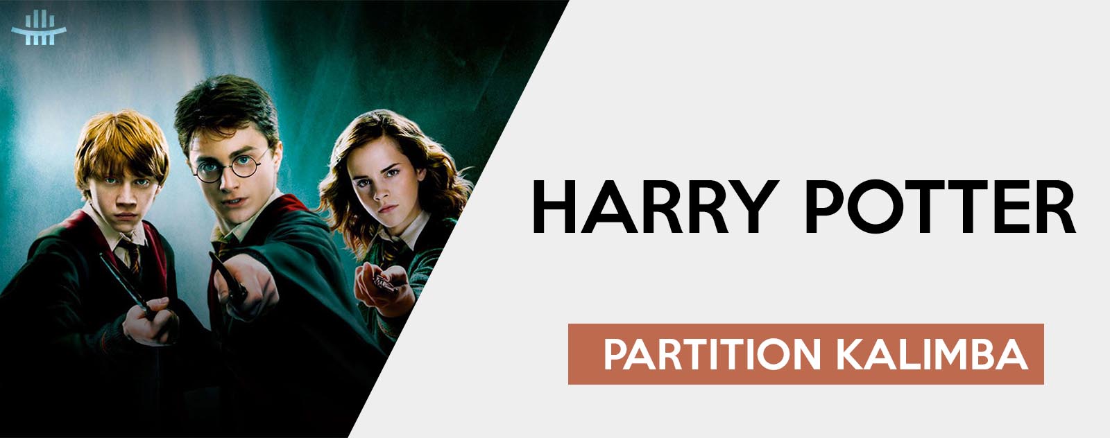 Kalimba Harry potter