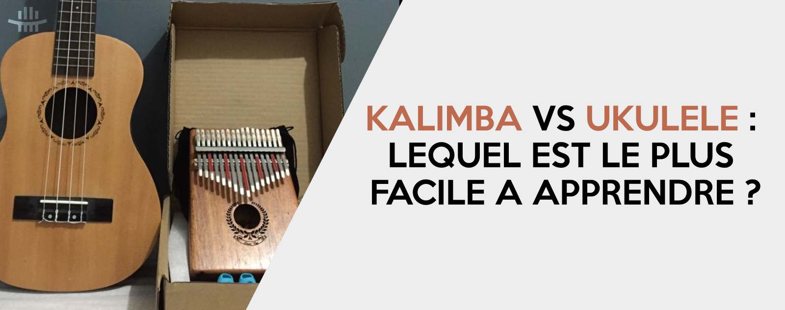 kalimba vs ukulele : lequel est le plus facile a apprendre ?